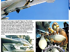 Grumman F-14 A-B-D Tomcat_page160