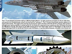 Grumman F-14 A-B-D Tomcat_page157