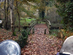 DSCN0734 DSCN0734