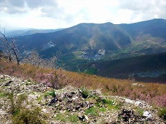 DSCN9550 DSCN9550