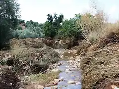 hacia el huerto del joyo