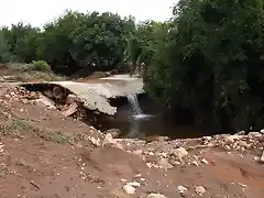 camino del panizal