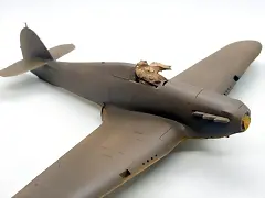 SDC39077 SDC39077