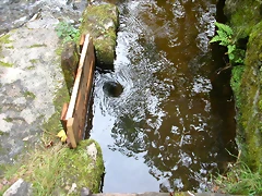 DSCN5769 DSCN5769