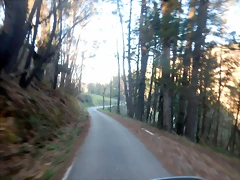 DSCN2639 DSCN2639