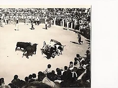 encierros encierros