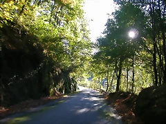 DSCN6462 DSCN6462