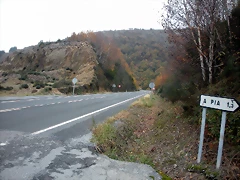 DSCN0946 DSCN0946