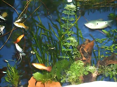 DSCF1525 DSCF1525