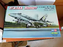 F18A HORNET