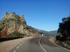 CURVAS