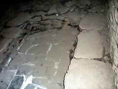 DSCN5173 DSCN5173