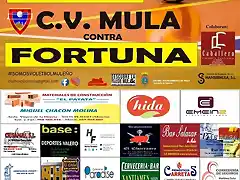 CVMULACVFORTUNA2020-1