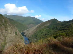 DSCN0207 DSCN0207
