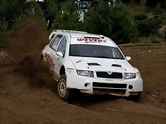 skoda fabia 19 Solberg