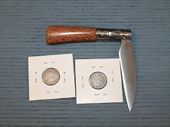 IMG_3138 IMG_3138
