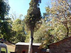 DSCN0301 DSCN0301