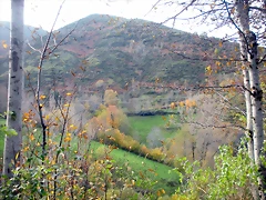 DSCN0488 DSCN0488