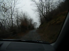 P3070105 P3070105
