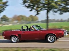 Shelby GT-500 M-767623 (7) Shelby GT-500 M-767623 (7)