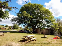 DSCN0826 DSCN0826
