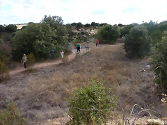 P1070939 P1070939