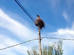 DSCN8764 DSCN8764