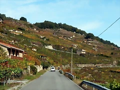DSCN0642 DSCN0642