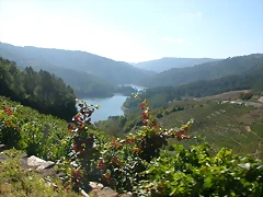 DSCN7596 DSCN7596