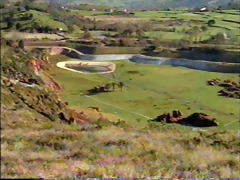 35-Gemsbok, Addax and African elephant paddock