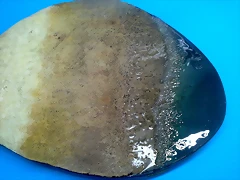20190130_181641 20190130_181641