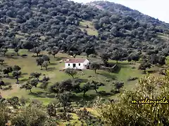 15, cortijo de macrino, marca