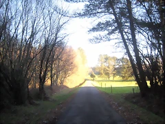 IMG_0499 IMG_0499