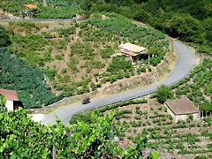 IMG_3895 IMG_3895