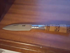 20170130_184945_resized