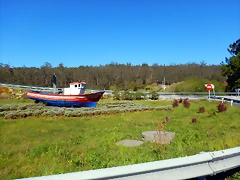 DSCN0072