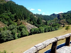 DSCN7770 DSCN7770