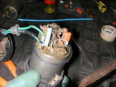 DSCN0065 DSCN0065