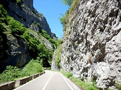 DSCN6950 DSCN6950