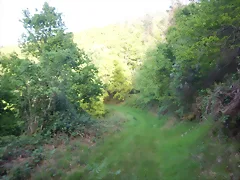 DSCN2088 DSCN2088