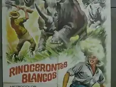 rinocerontesblancos