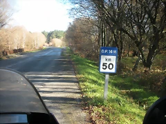DSCN2137 DSCN2137