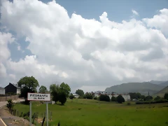 DSCN3519 DSCN3519