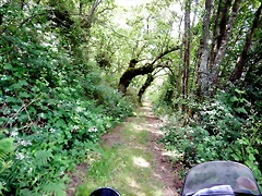 DSCN4341 DSCN4341