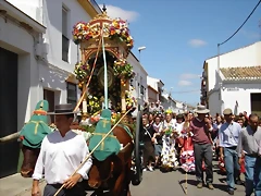 Romerito-en-Rociana-del-Condado. Romerito-en-Rociana-del-Condado.