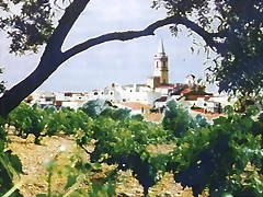 trigueros10 trigueros10