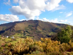 DSCN0913 DSCN0913