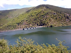 DSCN1467 DSCN1467