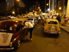 P1020677 P1020677