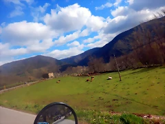 DSCN4398 DSCN4398